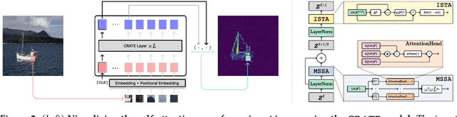 Figure 2 for Emergence of Segmentation with Minimalistic White-Box Transformers