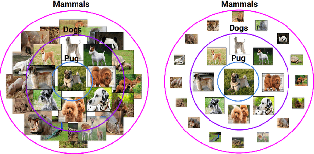 Figure 2 for Hyperbolic Convolutional Neural Networks