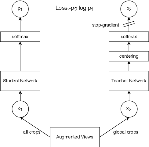 Figure 3 for Scalable Label-efficient Footpath Network Generation Using Remote Sensing Data and Self-supervised Learning