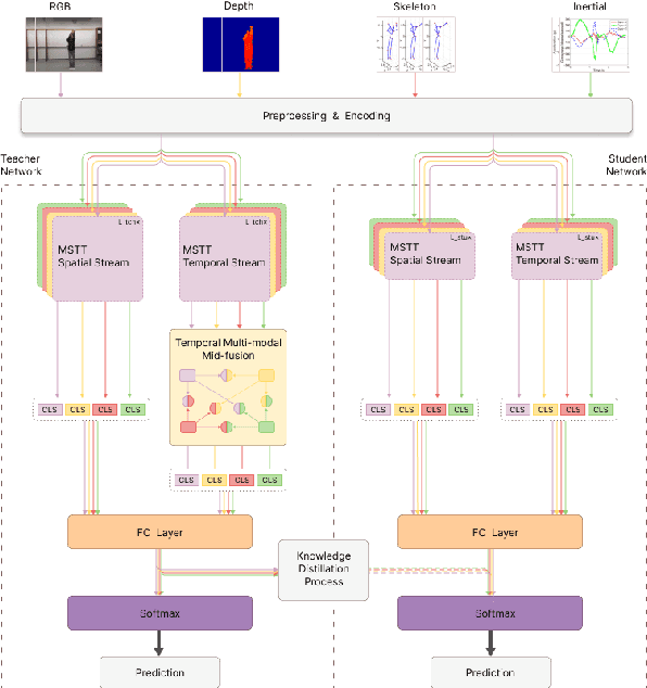 Figure 1 for Distilled Mid-Fusion Transformer Networks for Multi-Modal Human Activity Recognition