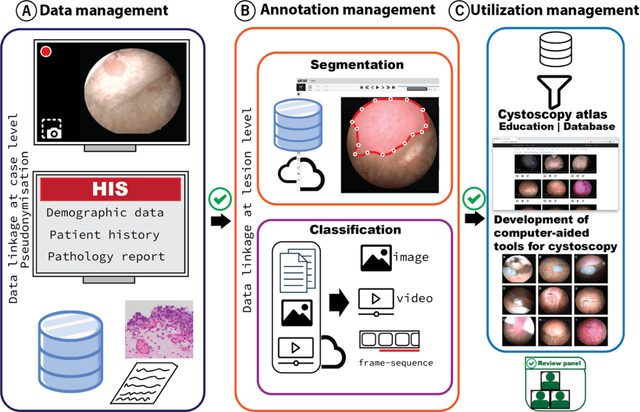 Figure 1 for Conceptual Framework and Documentation Standards of Cystoscopic Media Content for Artificial Intelligence