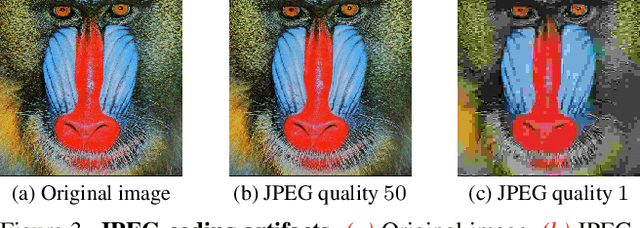 Figure 4 for Differentiable JPEG: The Devil is in the Details