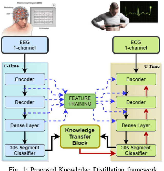 Figure 1 for EEG aided boosting of single-lead ECG based sleep staging with Deep Knowledge Distillation