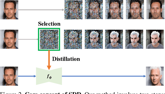 Figure 3 for Not All Steps are Created Equal: Selective Diffusion Distillation for Image Manipulation