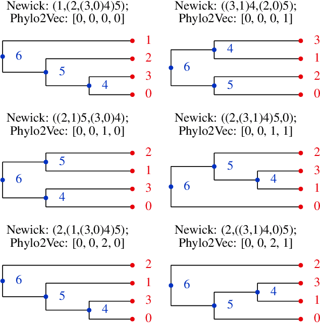 Figure 1 for Phylo2Vec: a vector representation for binary trees
