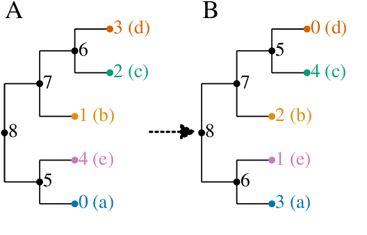 Figure 4 for Phylo2Vec: a vector representation for binary trees