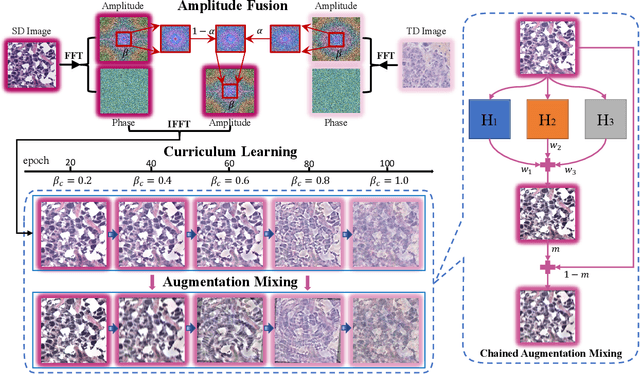 Figure 1 for Curriculum-Based Augmented Fourier Domain Adaptation for Robust Medical Image Segmentation