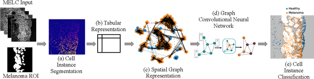 Figure 1 for Employing Graph Representations for Cell-level Characterization of Melanoma MELC Samples