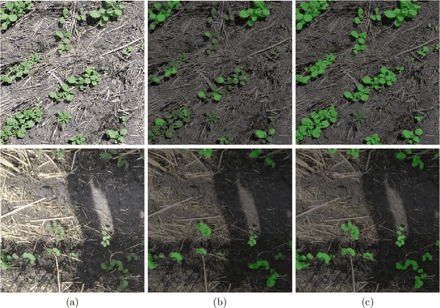 Figure 1 for Improved Crop and Weed Detection with Diverse Data Ensemble Learning in Agriculture
