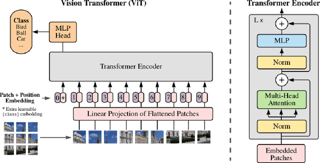 Figure 1 for Semantic Segmentation using Vision Transformers: A survey