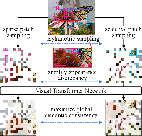Figure 1 for Asymmetric Patch Sampling for Contrastive Learning