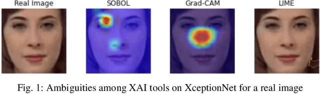 Figure 1 for An adversarial attack approach for eXplainable AI evaluation on deepfake detection models