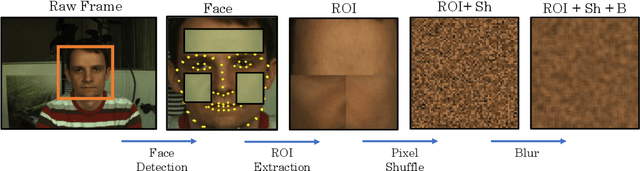 Figure 1 for Privacy-Preserving Remote Heart Rate Estimation from Facial Videos