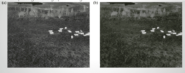 Figure 2 for Cattle Detection Occlusion Problem