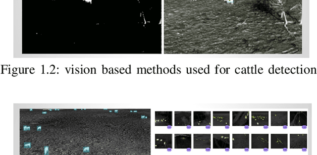 Figure 3 for Cattle Detection Occlusion Problem