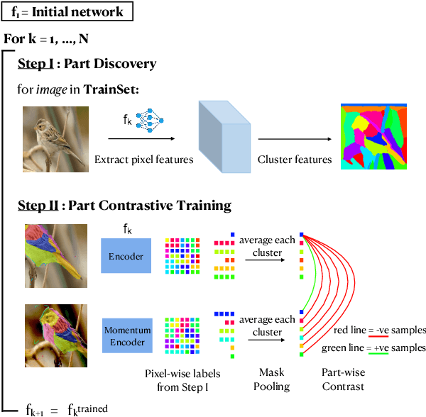 Figure 1 for PARTICLE: Part Discovery and Contrastive Learning for Fine-grained Recognition