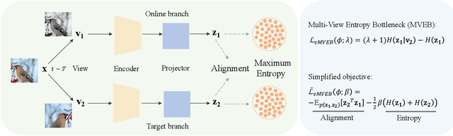 Figure 3 for MVEB: Self-Supervised Learning with Multi-View Entropy Bottleneck