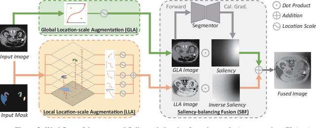 Figure 3 for Rethinking Data Augmentation for Single-source Domain Generalization in Medical Image Segmentation
