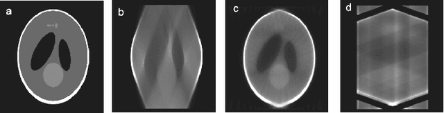 Figure 1 for Real-Time Tilt Undersampling Optimization during Electron Tomography of Beam Sensitive Samples using Golden Ratio Scanning and RECAST3D