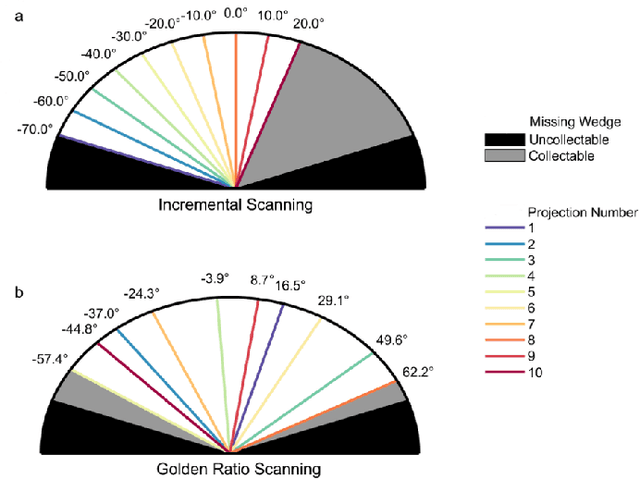 Figure 3 for Real-Time Tilt Undersampling Optimization during Electron Tomography of Beam Sensitive Samples using Golden Ratio Scanning and RECAST3D