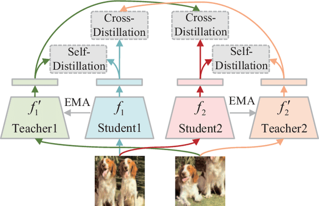 Figure 1 for Multi-Mode Online Knowledge Distillation for Self-Supervised Visual Representation Learning