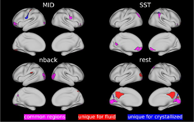 Figure 4 for Accounting for Temporal Variability in Functional Magnetic Resonance Imaging Improves Prediction of Intelligence