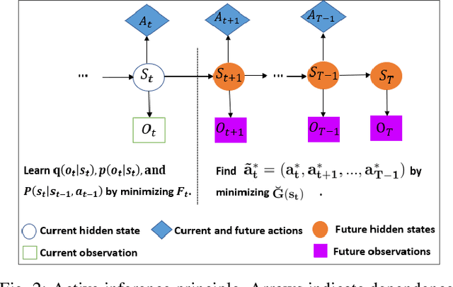 Figure 3 for Combining information-seeking exploration and reward maximization: Unified inference on continuous state and action spaces under partial observability
