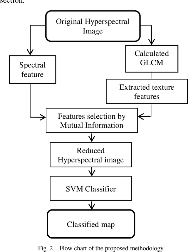Figure 2 for A new filter for dimensionality reduction and classification of hyperspectral images using GLCM features and mutual information