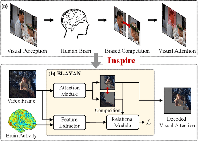 Figure 1 for BI AVAN: Brain inspired Adversarial Visual Attention Network