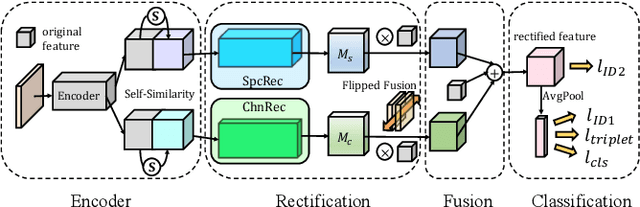 Figure 1 for A Unified Framework for Masked and Mask-Free Face Recognition via Feature Rectification