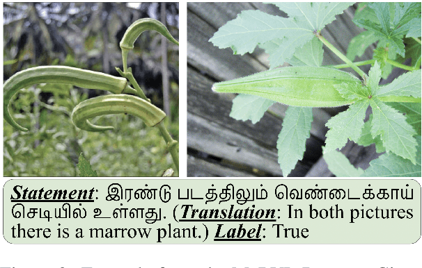 Figure 3 for What Is Missing in Multilingual Visual Reasoning and How to Fix It