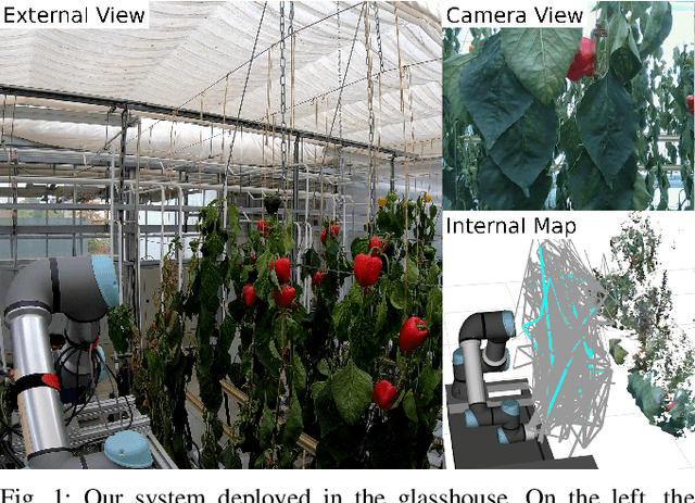 Figure 1 for Graph-based View Motion Planning for Fruit Detection