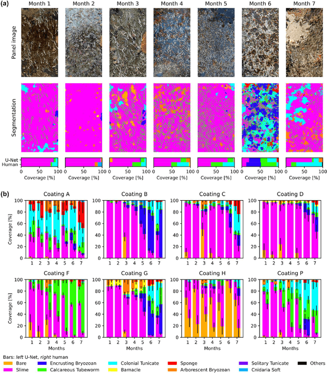 Figure 4 for Semantic Segmentation for Fully Automated Macrofouling Analysis on Coatings after Field Exposure