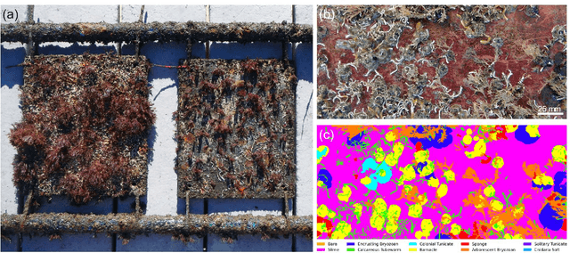 Figure 1 for Semantic Segmentation for Fully Automated Macrofouling Analysis on Coatings after Field Exposure