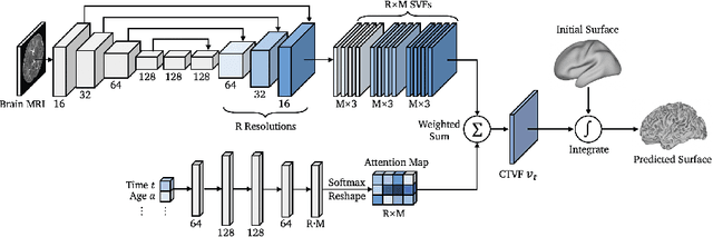 Figure 3 for Conditional Temporal Attention Networks for Neonatal Cortical Surface Reconstruction