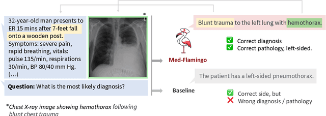 Figure 1 for Med-Flamingo: a Multimodal Medical Few-shot Learner