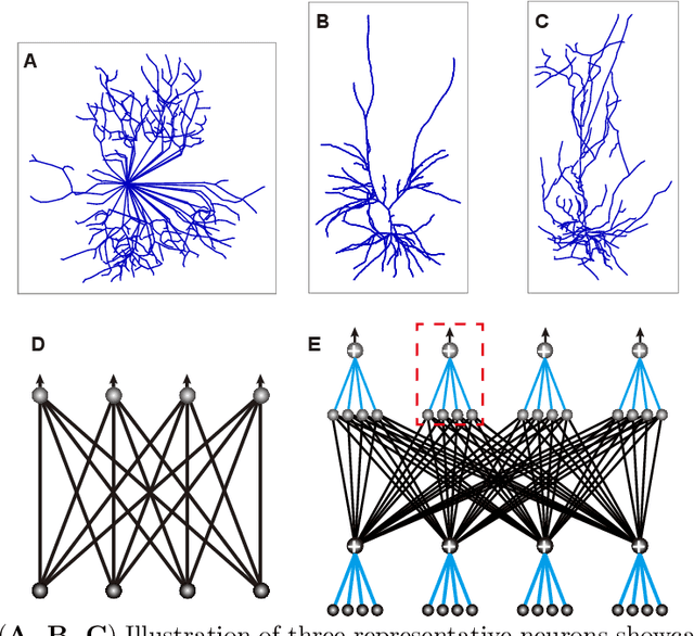 Figure 1 for Mitigating Communication Costs in Neural Networks: The Role of Dendritic Nonlinearity