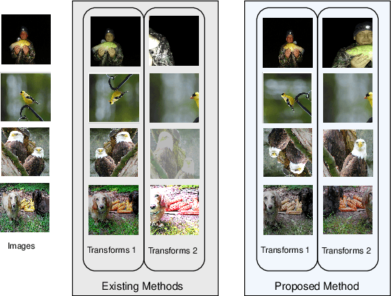 Figure 1 for The Bad Batches: Enhancing Self-Supervised Learning in Image Classification Through Representative Batch Curation