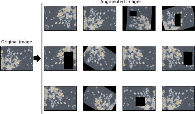 Figure 3 for Prediction of Activated Sludge Settling Characteristics from Microscopy Images with Deep Convolutional Neural Networks and Transfer Learning