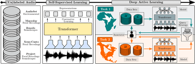Figure 1 for Active Bird2Vec: Towards End-to-End Bird Sound Monitoring with Transformers