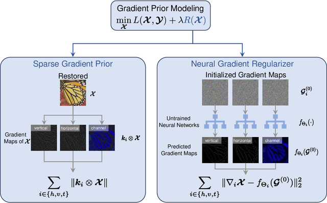 Figure 1 for Neural Gradient Regularizer