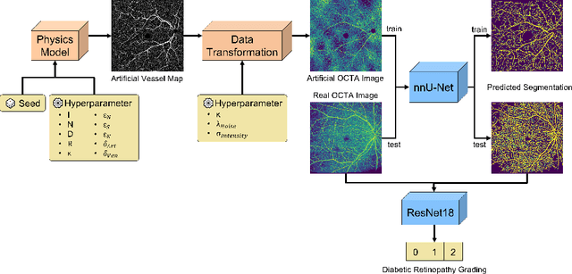 Figure 1 for Automated analysis of diabetic retinopathy using vessel segmentation maps as inductive bias