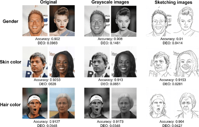 Figure 2 for Improving Fairness in Image Classification via Sketching