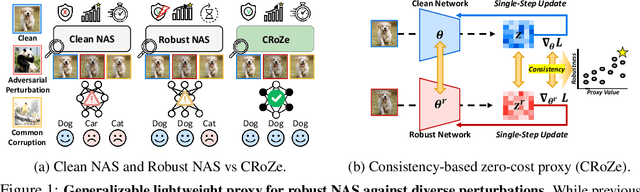 Figure 1 for Generalizable Lightweight Proxy for Robust NAS against Diverse Perturbations