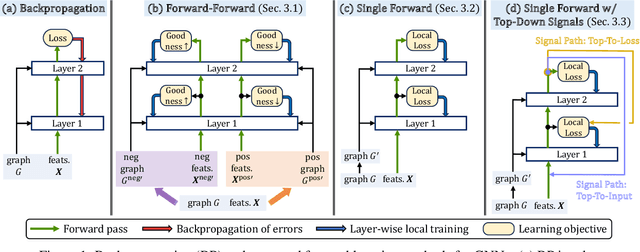 Figure 1 for Forward Learning of Graph Neural Networks