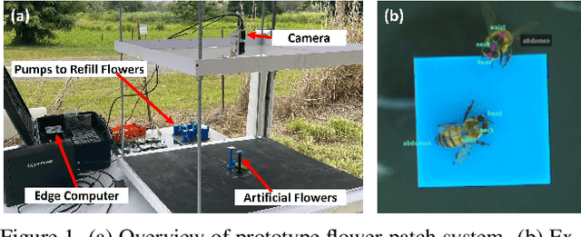 Figure 1 for Towards Automatic Honey Bee Flower-Patch Assays with Paint Marking Re-Identification