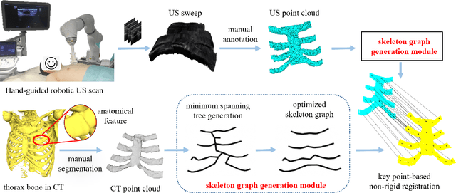 Figure 2 for Skeleton Graph-based Ultrasound-CT Non-rigid Registration