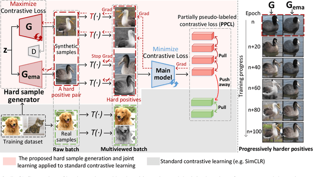 Figure 3 for Learn by Challenging Yourself: Contrastive Visual Representation Learning with Hard Sample Generation