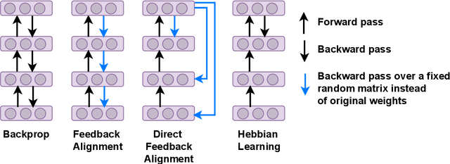 Figure 1 for Is Bio-Inspired Learning Better than Backprop? Benchmarking Bio Learning vs. Backprop