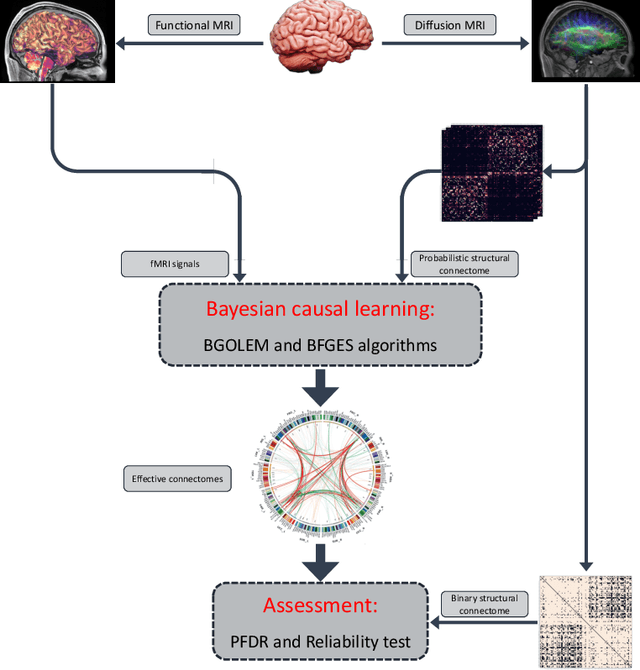 Figure 1 for Brain Effective Connectome based on fMRI and DTI Data: Bayesian Causal Learning and Assessment